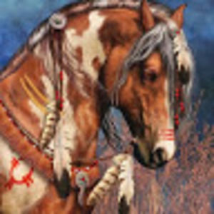 Meet your Posher, Patricia